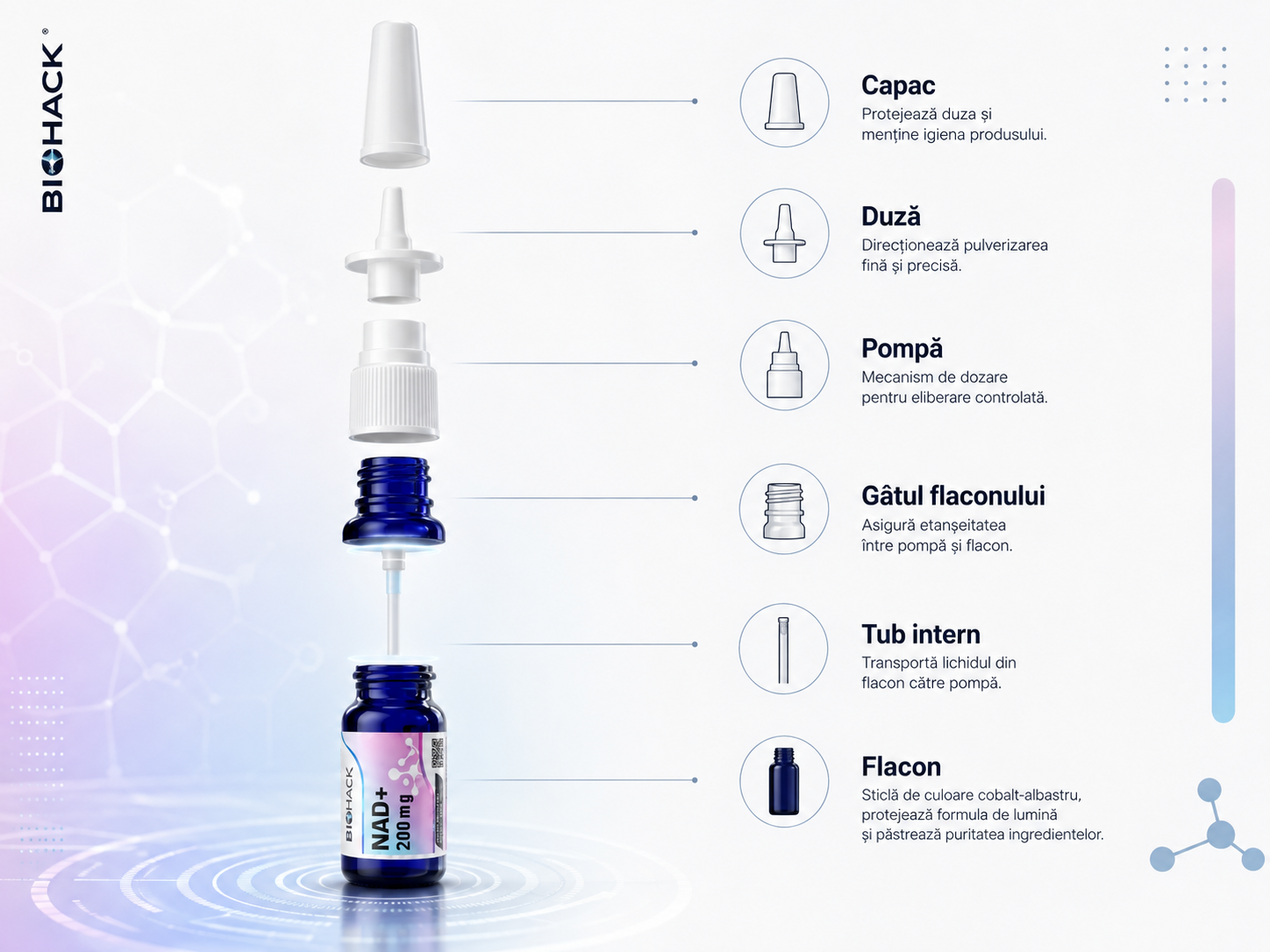 Diagramă tehnică spray BioHack